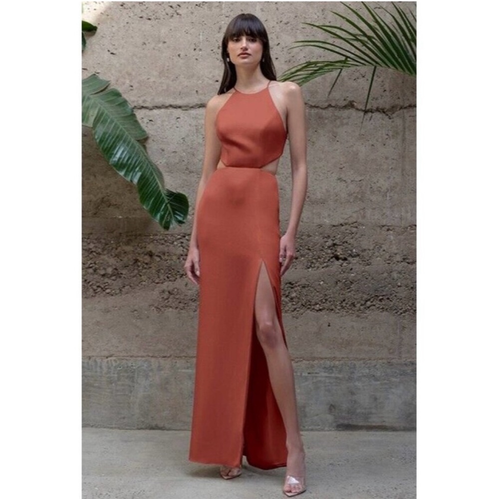 Jenny Yoo Kendra English Rose Backless Dress